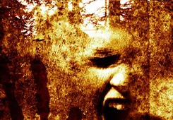 Movie Poster: Wrong Turn 2: Dead End