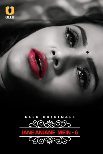 TV series poster: Jane Anjane Mein 6