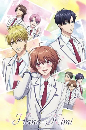 Hana Zakari no Kimi-tachi e - Web Serie complete free on Castle