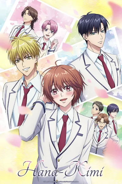 Hana Zakari no Kimi-tachi e