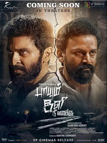 Paayum Oli Nee Yenakku(TS)