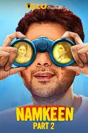 TV series poster: Namkeen