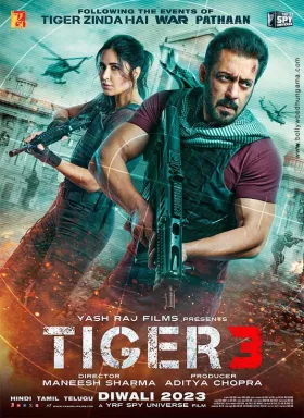 Tiger 3 - Movie free on Castle
