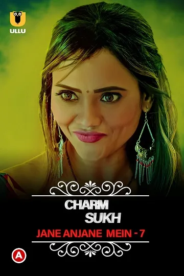 TV series poster: Jane Anjane Mein 7