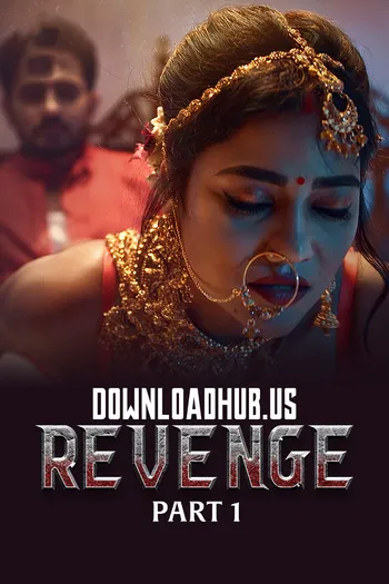 TV series poster: Revenge