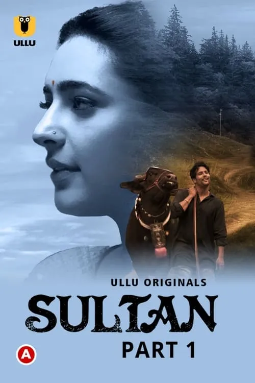 TV series poster: Sultan