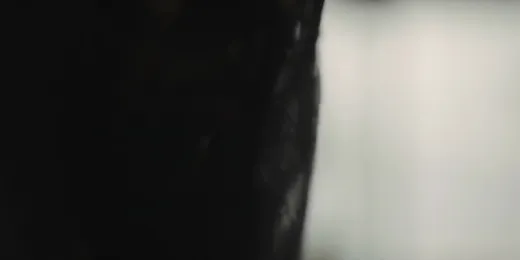 E1