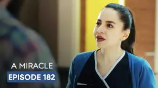 Episode 182