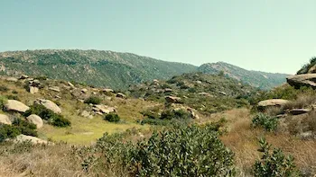 E10.Figures of Light