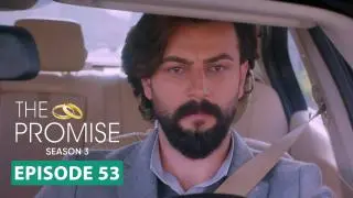Episode 53