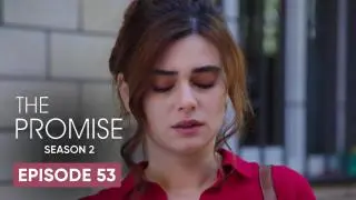 Episode 53