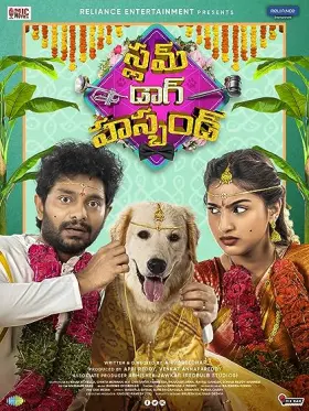 Slum Dog Husband - Movie free on Castle