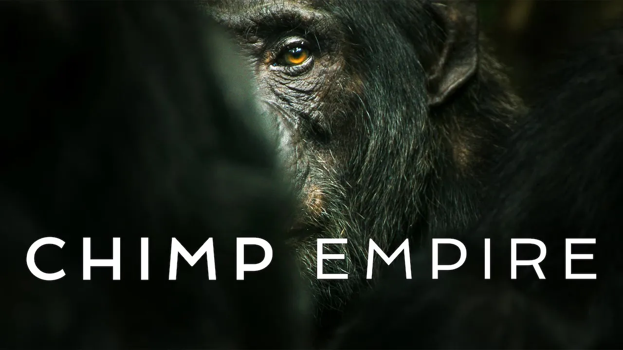 Chimp Empire