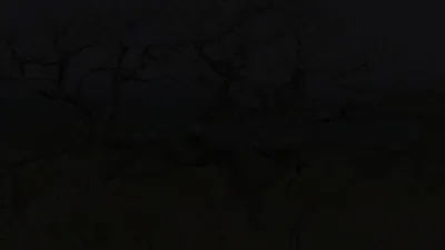 E6.Episode #1.6