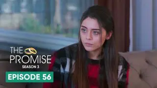 Episode 56
