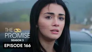 Episode 166