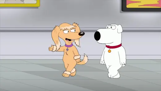 E10.Boy (Dog) Meets Girl (Dog)