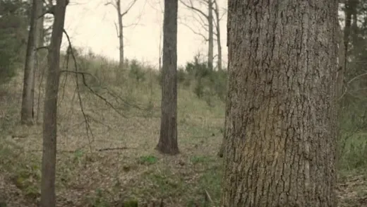 E3.Exit Wounds