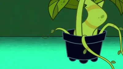 E62.Plant Food