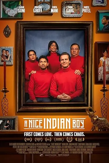 Movie Poster: A Nice Indian Boy