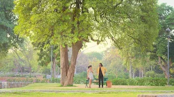 E5.Cross-Connections