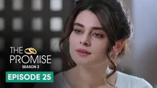 Episode 25
