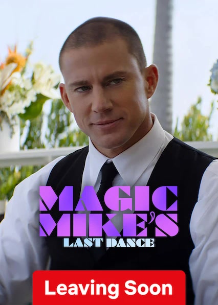 Magic Mike's Last Dance