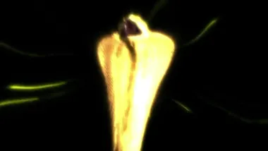E66