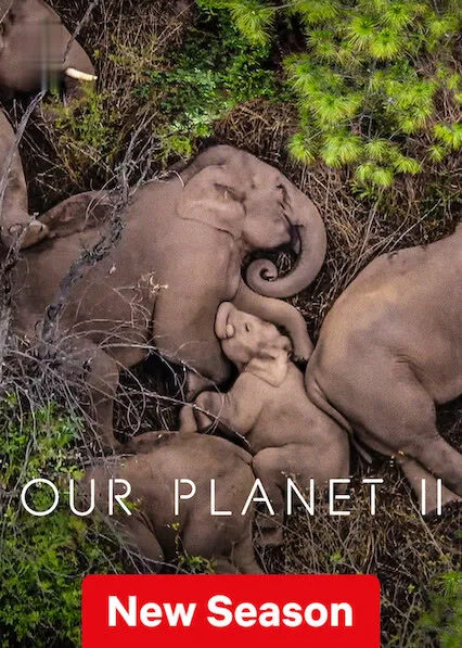 Our Planet
