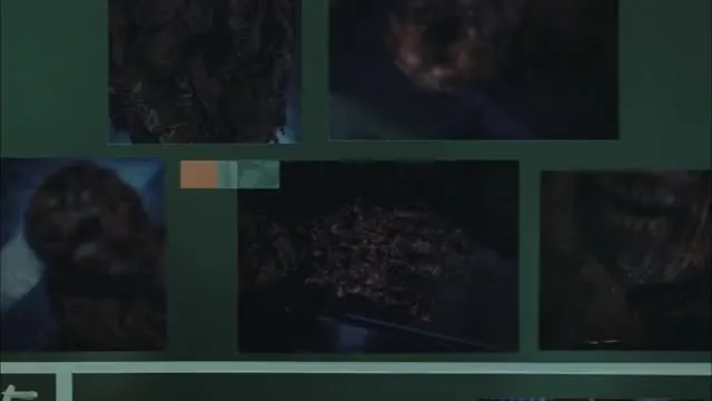 E7.Episode #1.7