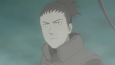 Episode 231