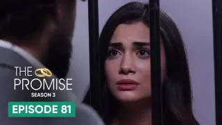 Episode 81