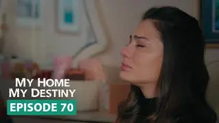 Episode 70