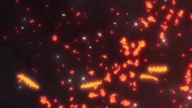 Episode 21