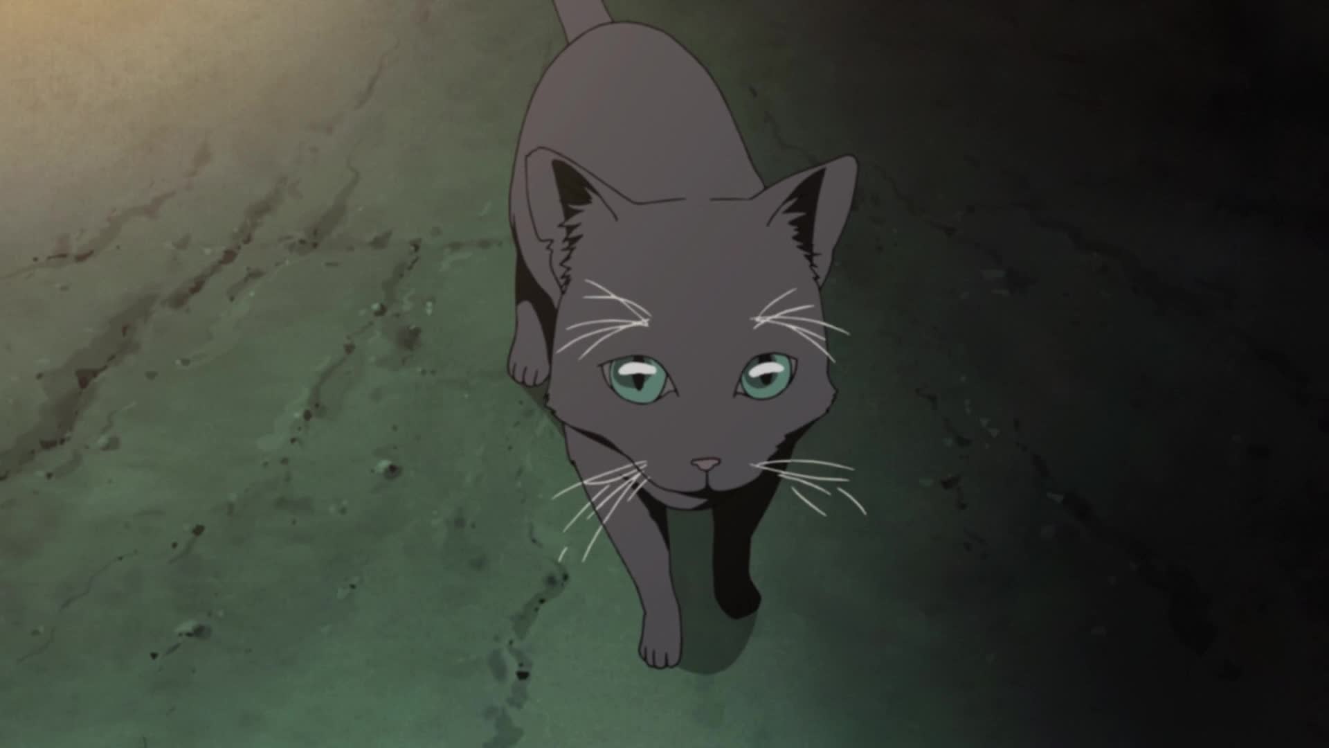 Episode 248