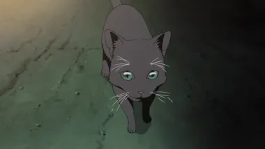 Episode 248
