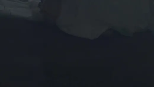 E435