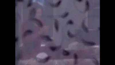 E278
