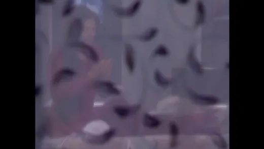E278