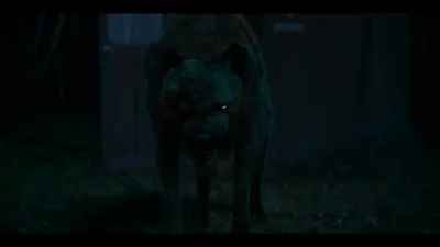 E3.The Strong Don't Howl