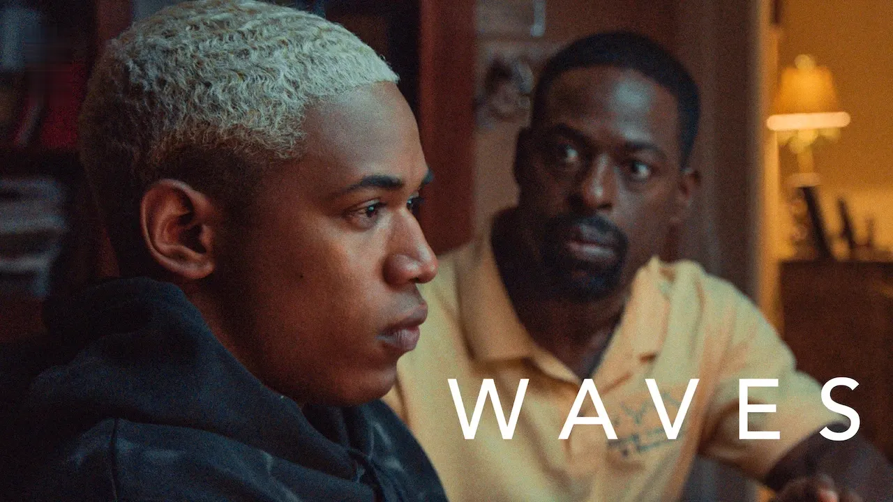 Movie Poster: Waves