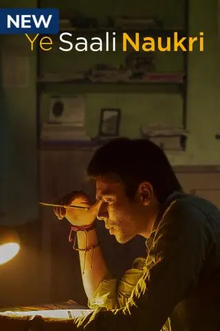 Ye Saali Naukri