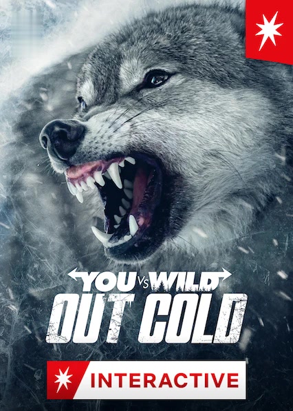 You vs. Wild: Out Cold