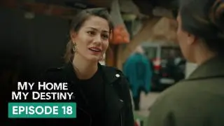 Episode 18