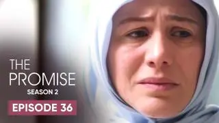 Episode 36
