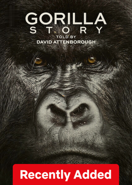 A Gorilla Story: Told by David Attenborough