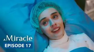 Episode 17