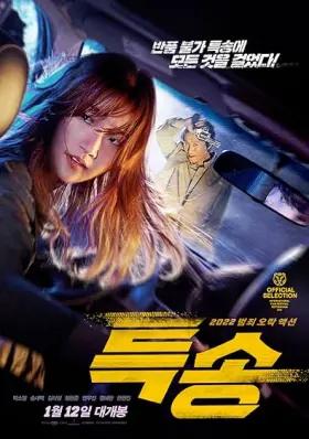 Special Delivery - Movie free on Castle