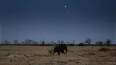 E1.Elephant Plains