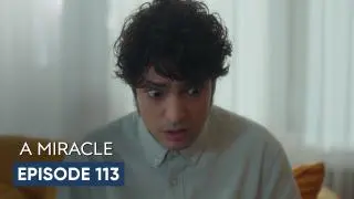 Episode 113